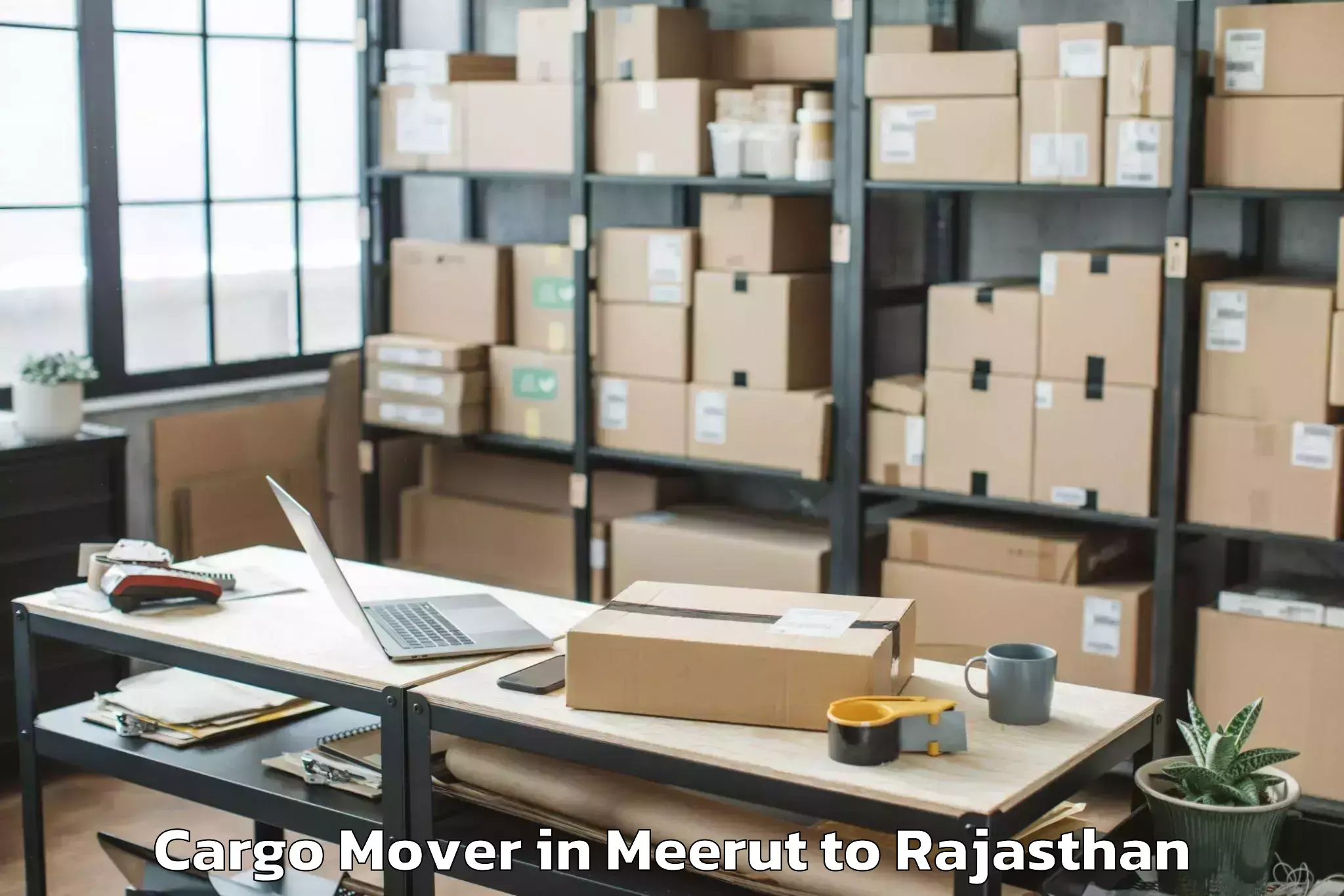 Efficient Meerut to Paota Cargo Mover